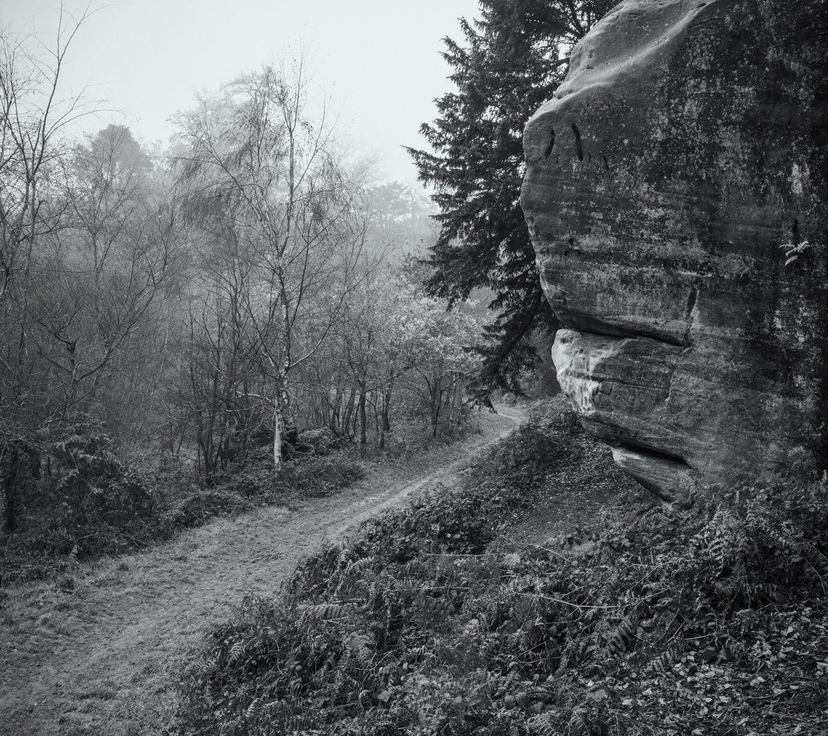 Rich Clark Images, Eridge Rocks