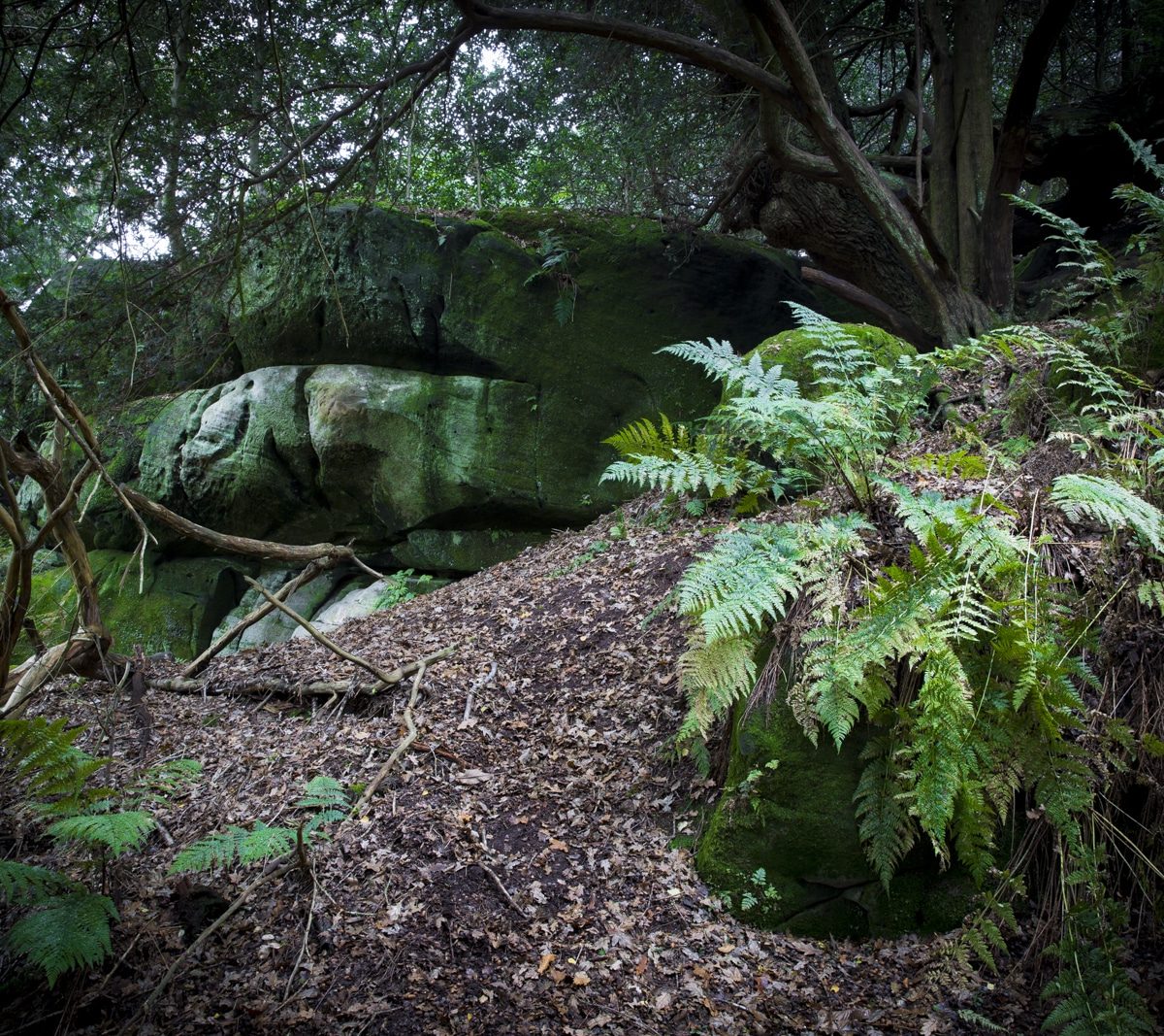 Eridge Rocks, Rich Clark Im