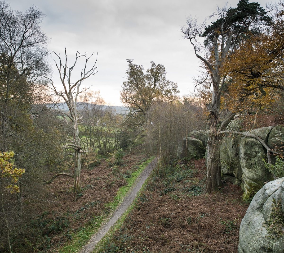 Eridge Rocks, Rich Clark Images