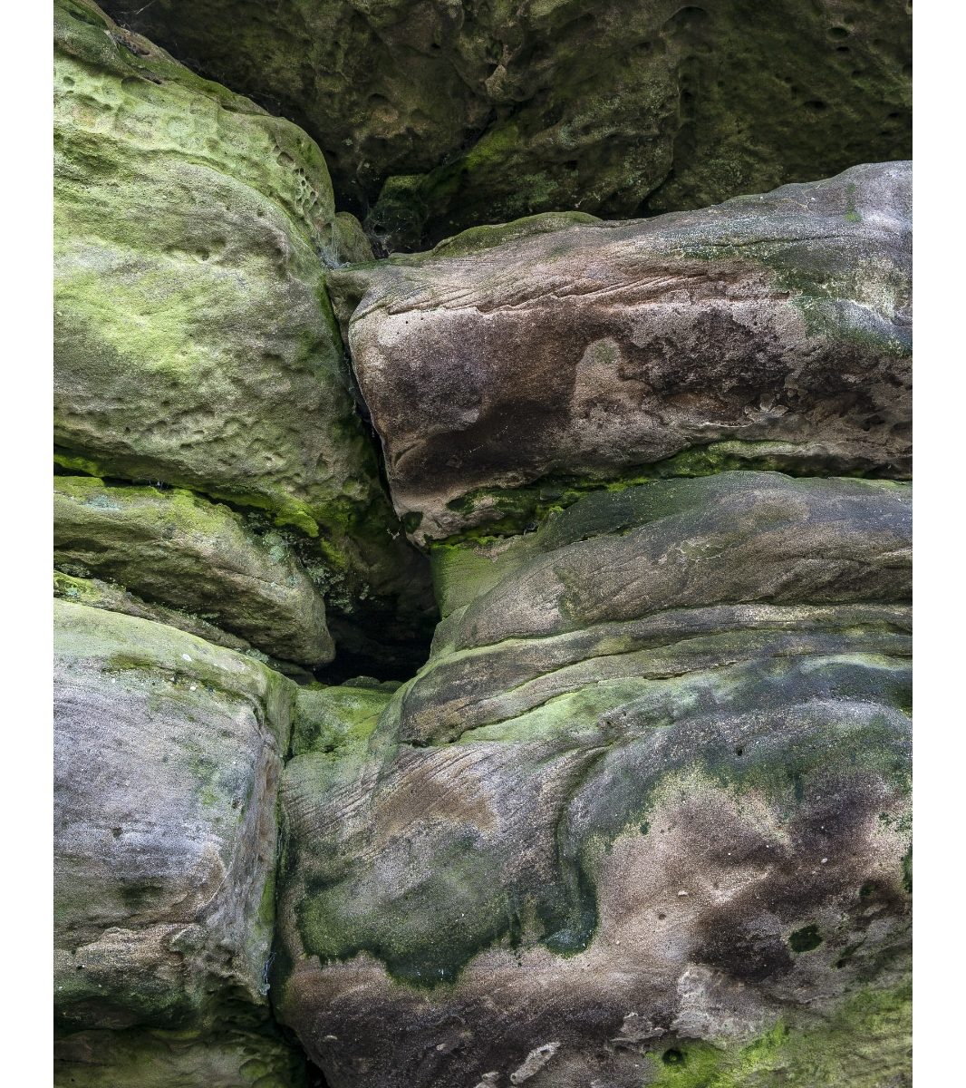 Eridge Rocks, Rich Clark Images, Kent, landscape Photography