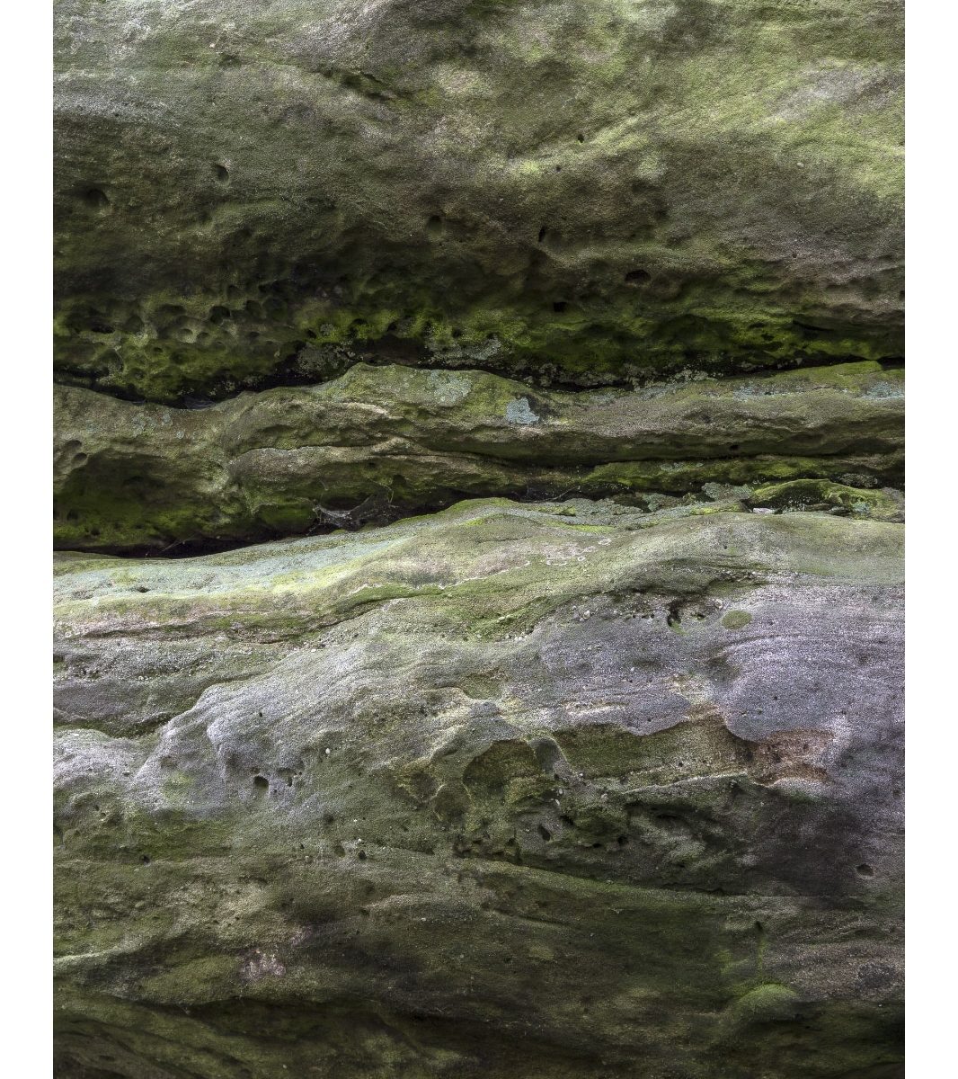 Eridge Rocks, Rich Clark Images, Kent, landscape Photography