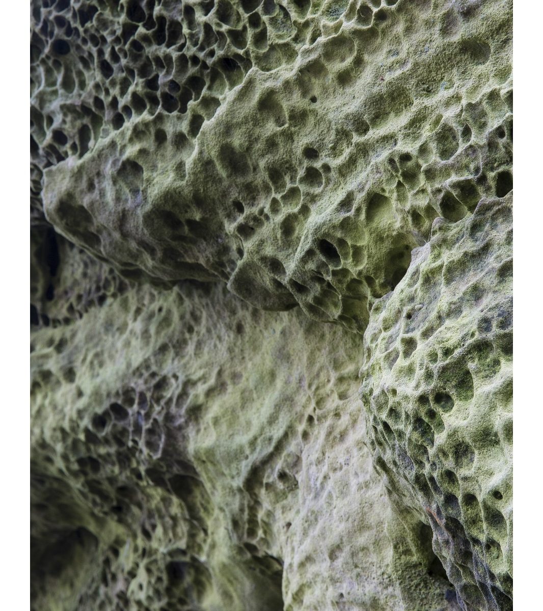 Eridge Rocks, Rich Clark Images, Kent, landscape Photography