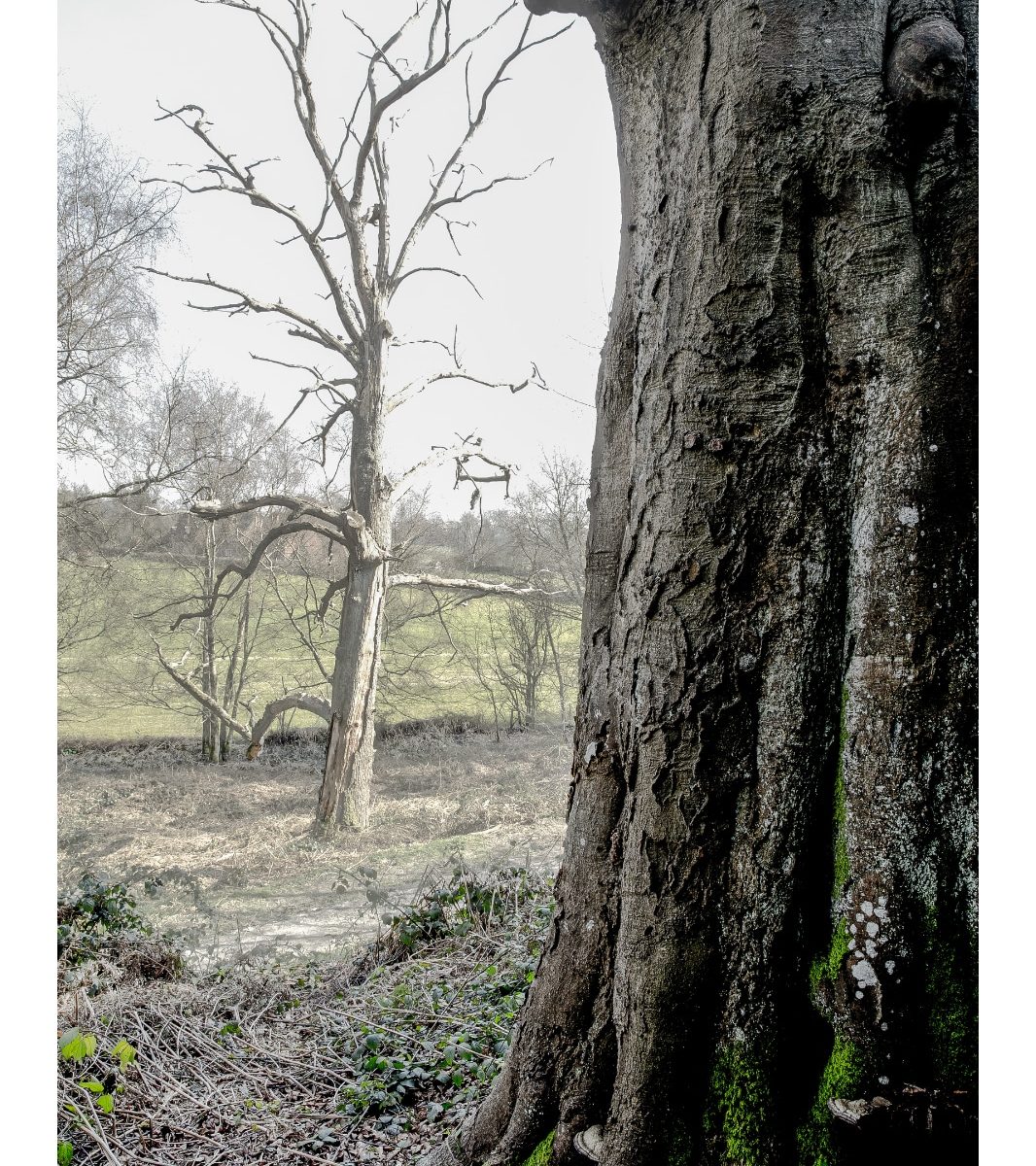 Rich Clark Images
