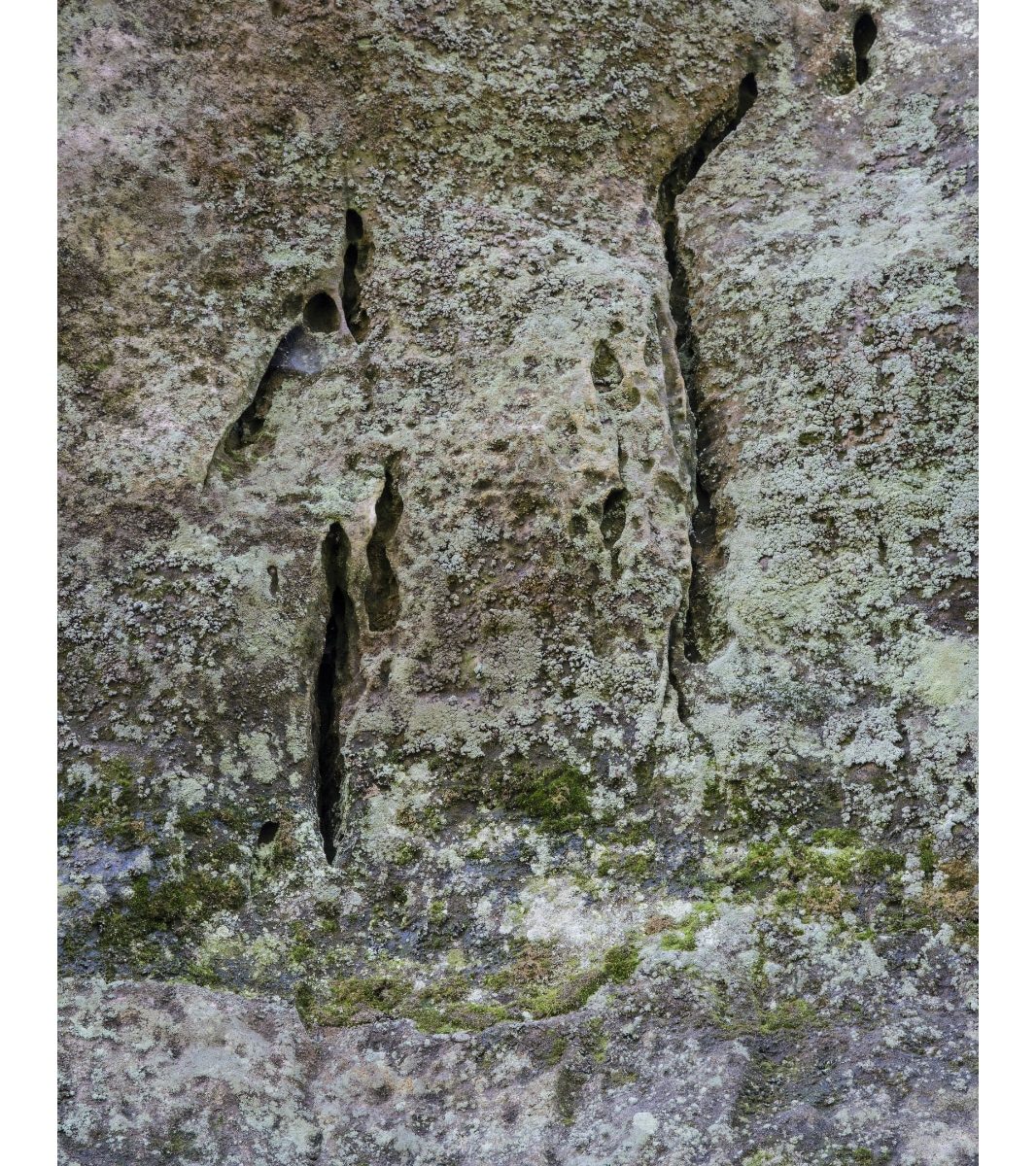Eridge Rocks, Rich Clark Images, Kent, landscape Photography