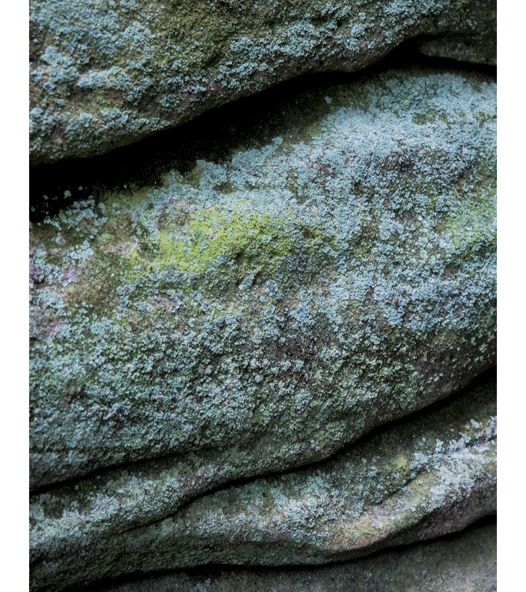 Eridge Rocks, Rich Clark Images, Kent, landscape Photography