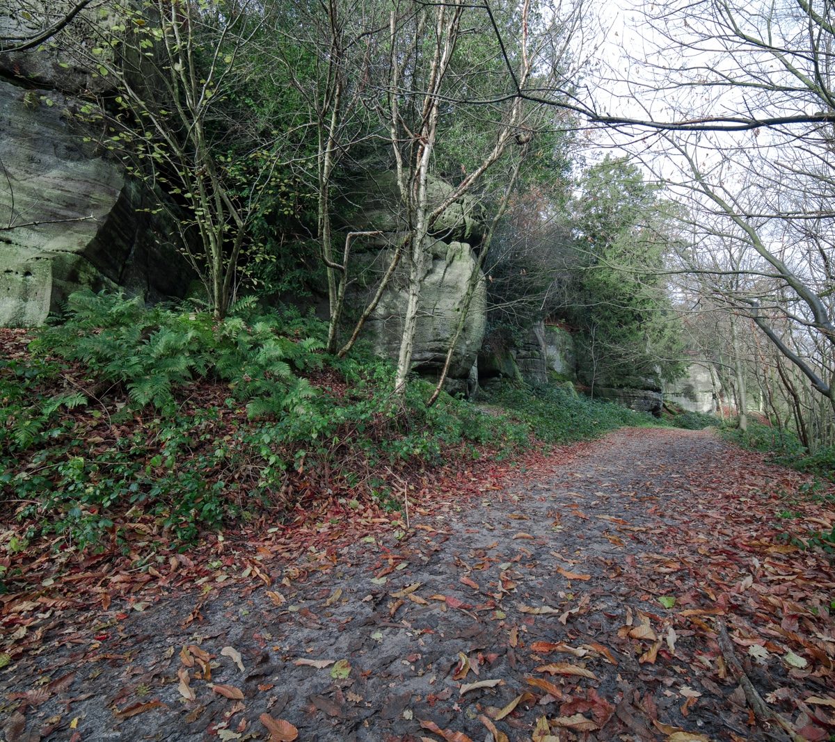 Eridge Rocks, Rich Clark Images