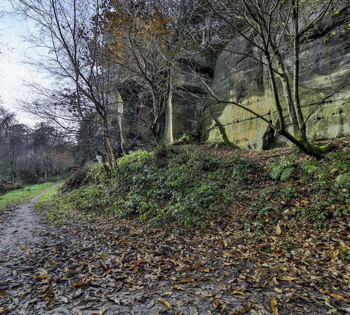 Eridge Rocks, Roods, Walks, path, Rich Clark Images