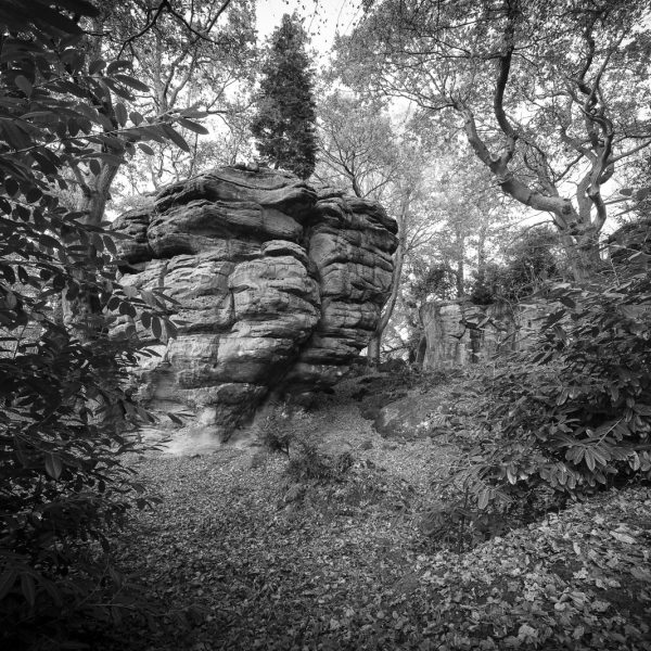 Read more about the article Photographing High Rocks