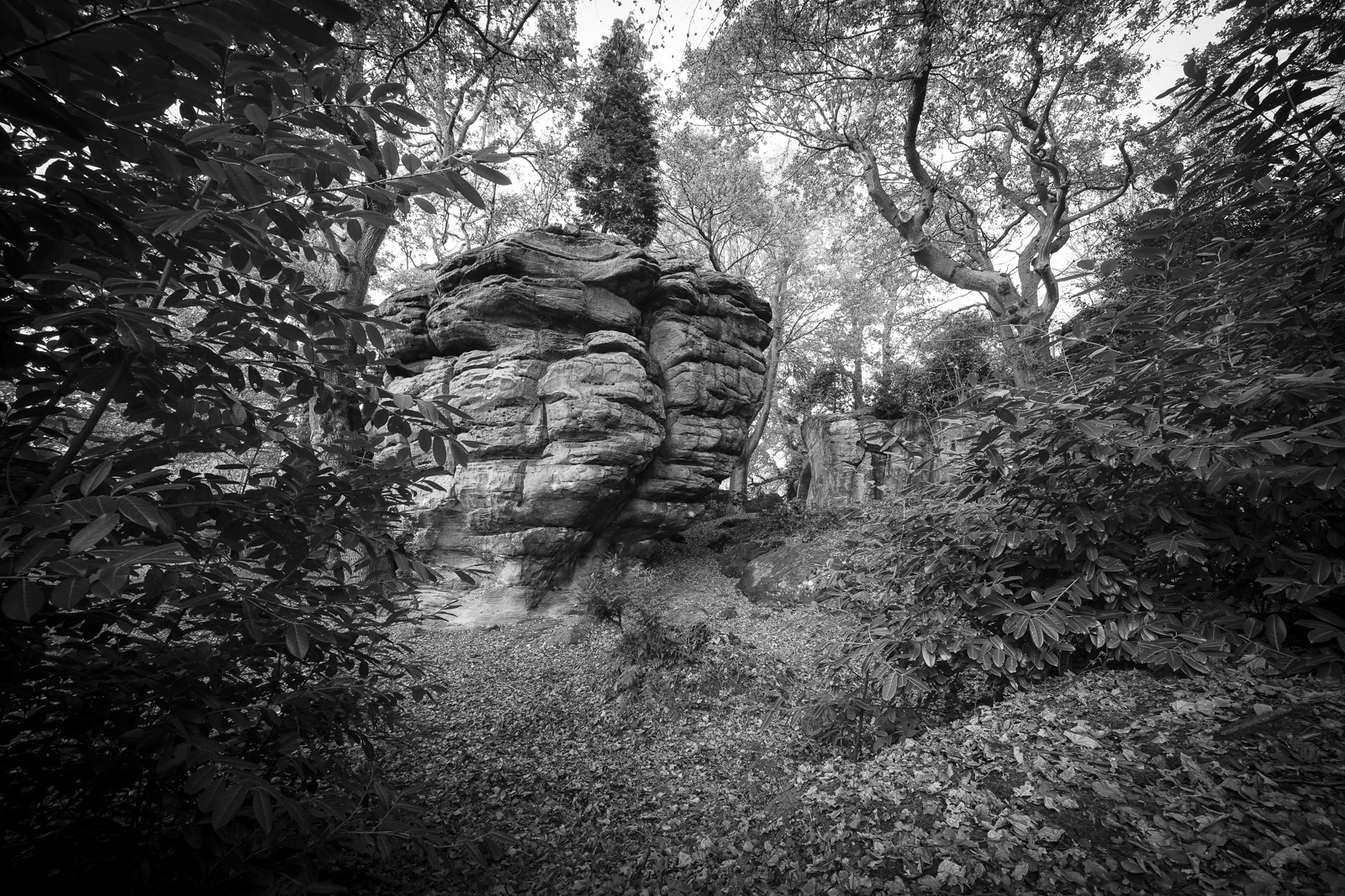 Read more about the article Photographing High Rocks
