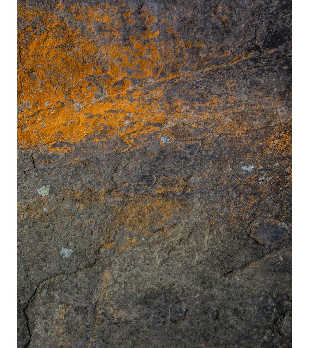 Rich Clark Images, Eridge Rocks