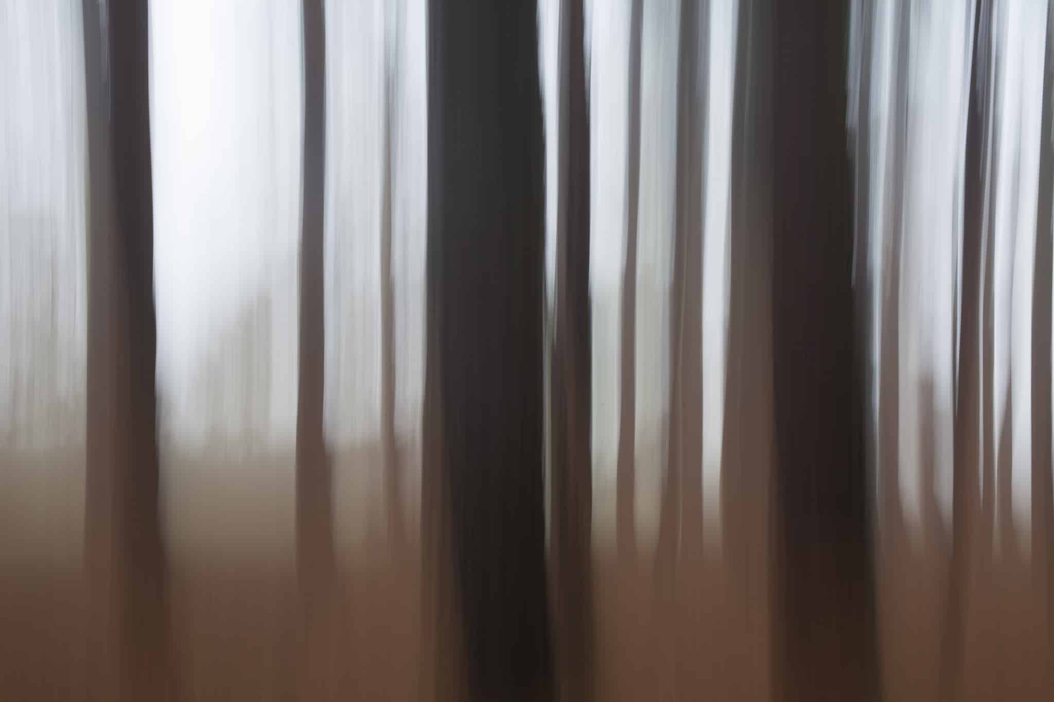 Friends Clump (22)