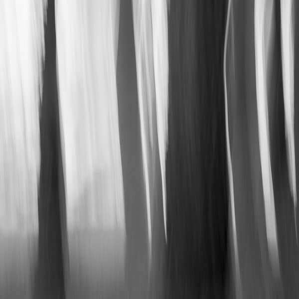 Clump VIII