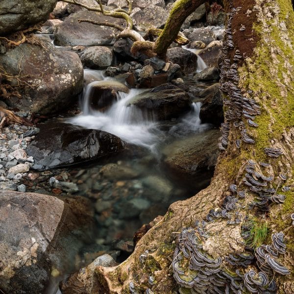 RCI_7225