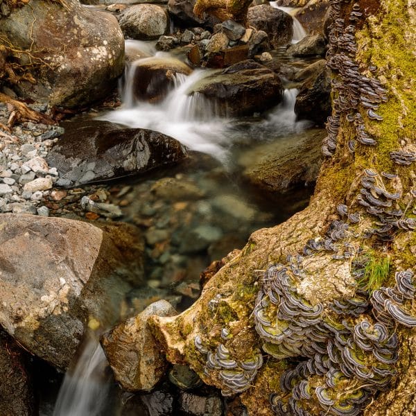 Read more about the article A Simple Long Exposure Calculator – ND Filters