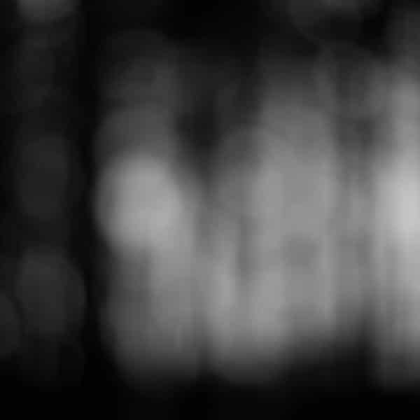 Sight - Woodland II